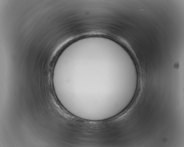 X0000115660827200911120941
