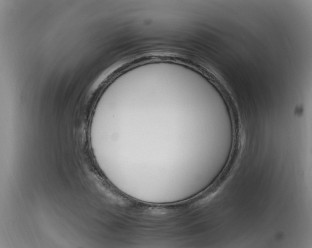 X0000115660829200911120941