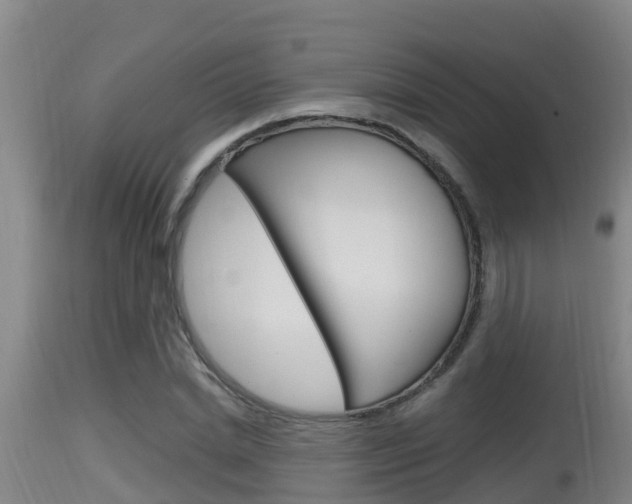 X0000115660830200911120941