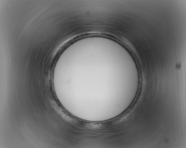 X0000115660831200911120941