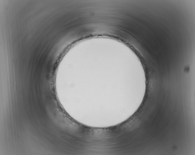 X0000115660832200911120941