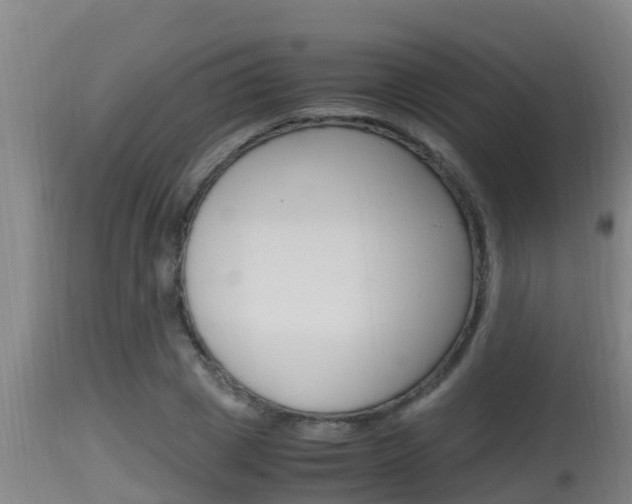 X0000115660833200911120941