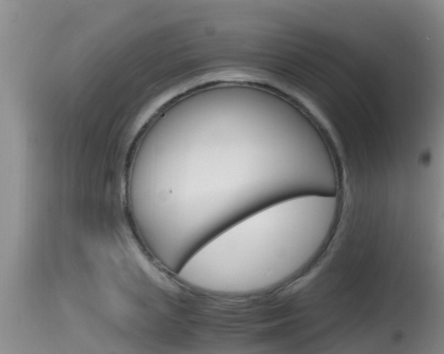 X0000115660837200911120941