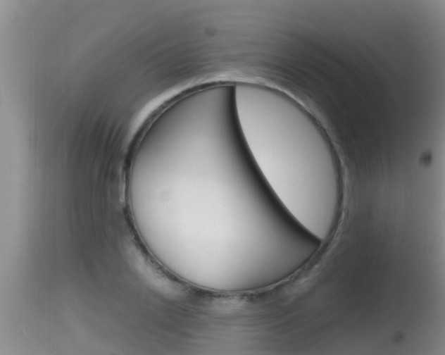 X0000115660838200911120941