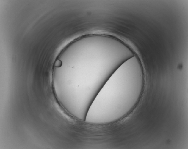 X0000115660839200911120941