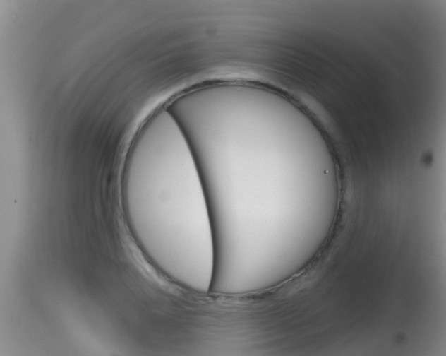 X0000115660840200911120941