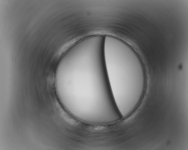 X0000115660841200911120941