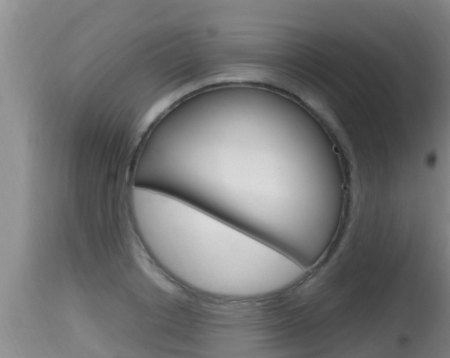 X0000115660842200911120941