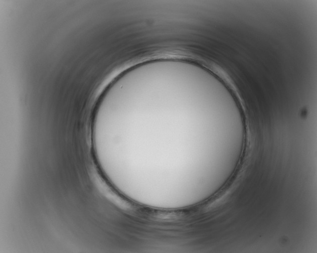 X0000115660843200911120941