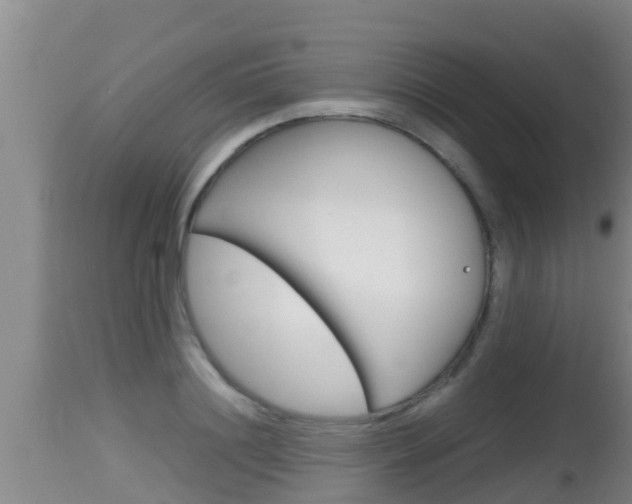 X0000115660844200911120941