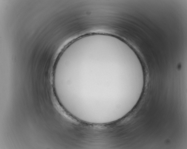X0000115660848200911120941