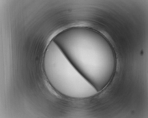 X0000115660850200911120941