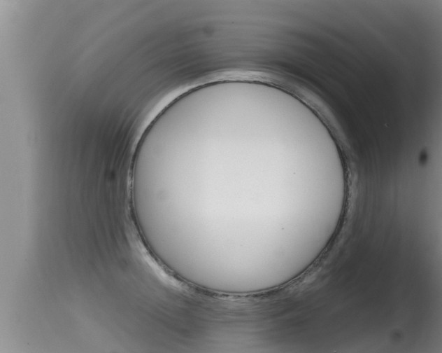 X0000115660852200911120941
