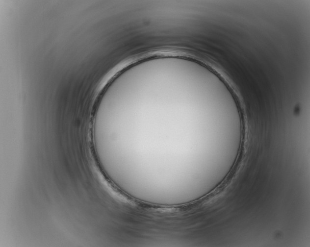 X0000115660853200911120941