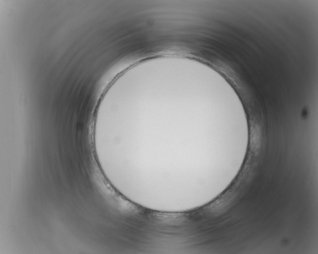 X0000115660856200911120941