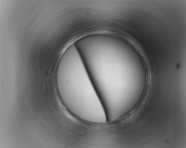 X0000115660858200911120941