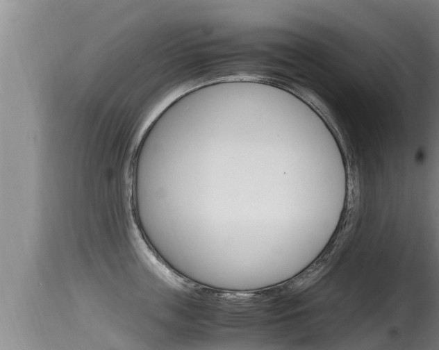 X0000115660859200911120941