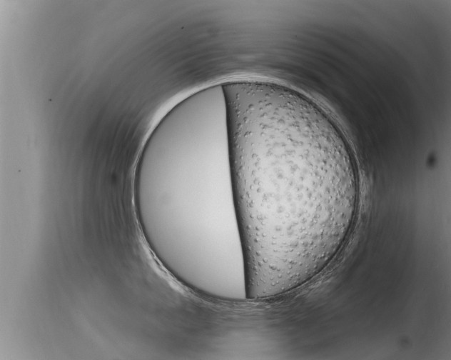 X0000115660862200911120941
