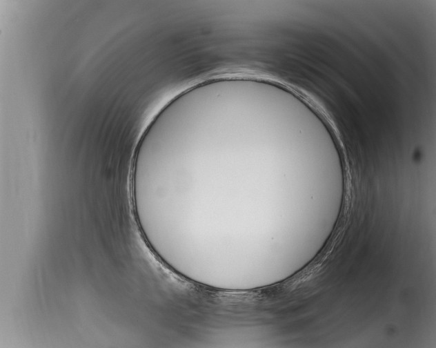 X0000115660863200911120941