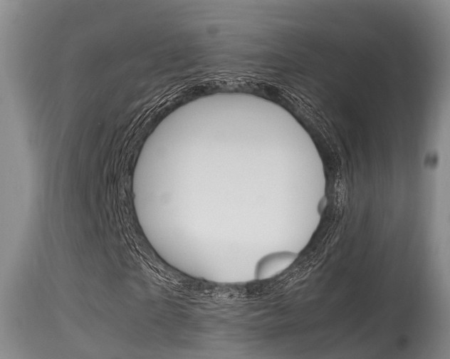 X0000115660865200911120941