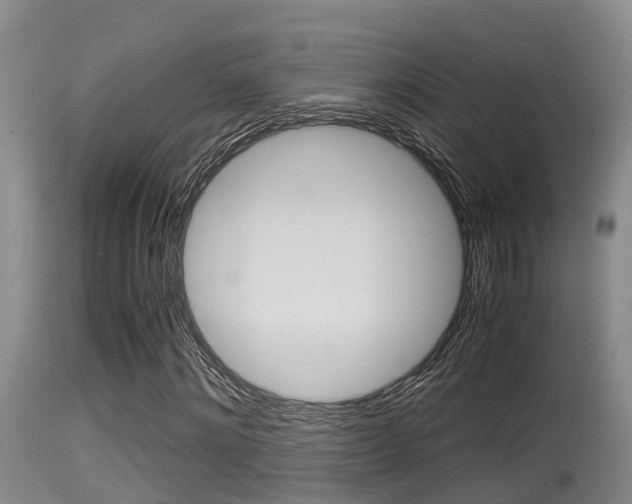 X0000115660868200911120940