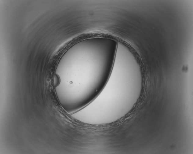 X0000115660872200911120940