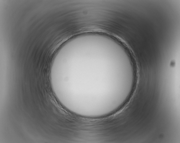 X0000115660873200911120940