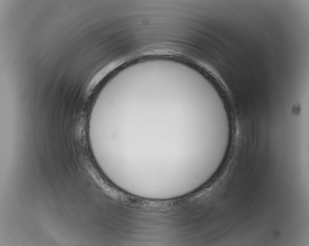 X0000115660874200911120940