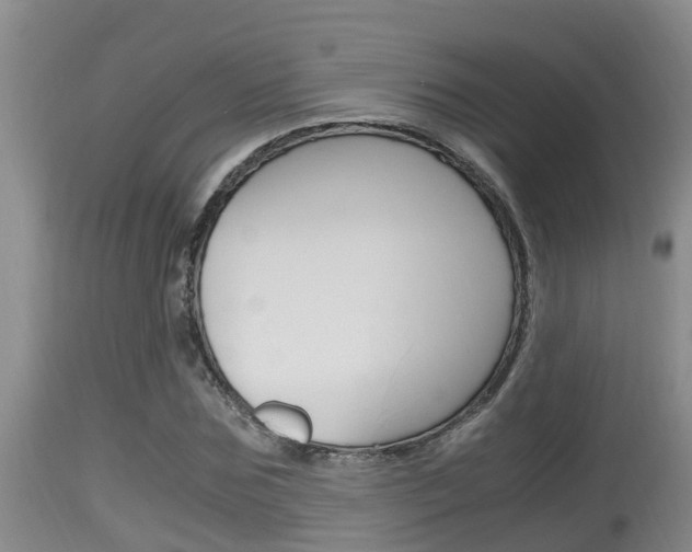 X0000115660875200911120940