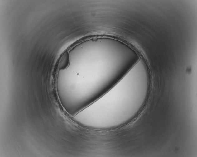 X0000115660876200911120940