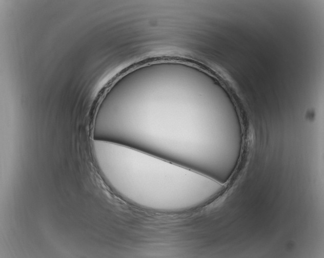 X0000115660877200911120940
