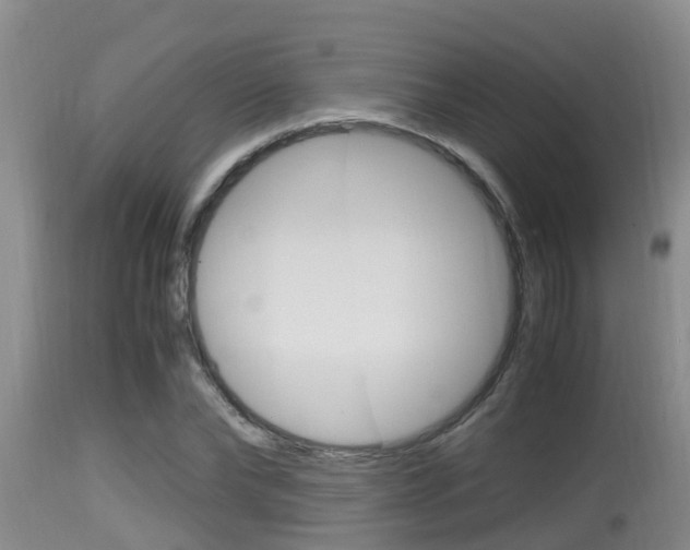 X0000115660878200911120940