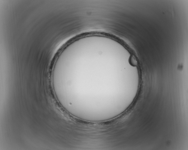X0000115660879200911120940