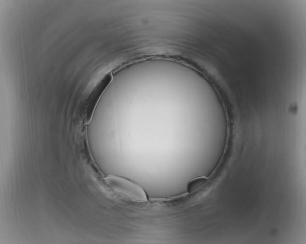 X0000115660881200911120940