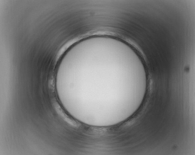 X0000115660882200911120940