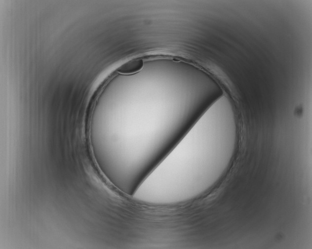 X0000115660884200911120940
