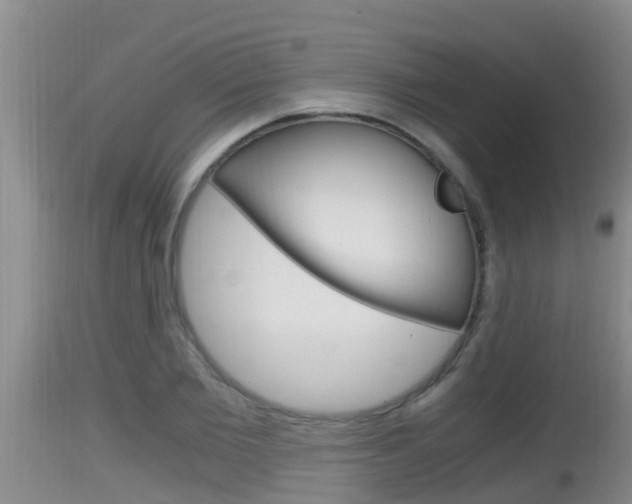 X0000115660885200911120940