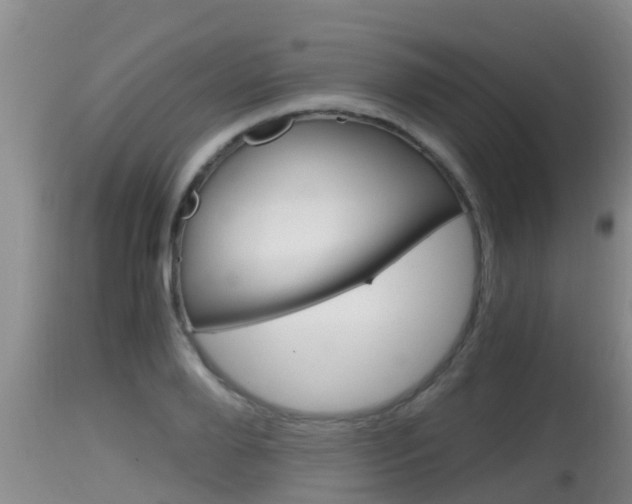 X0000115660888200911120940