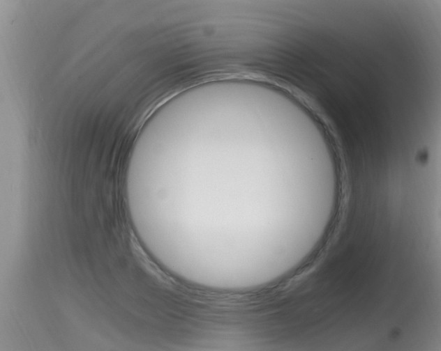 X0000115660889200911120940