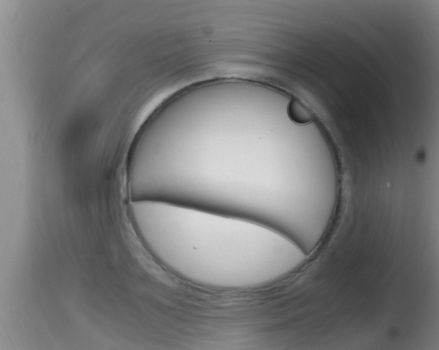 X0000115660891200911120940