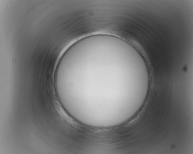 X0000115660892200911120940