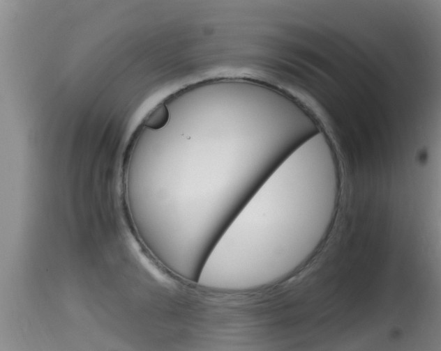 X0000115660894200911120940
