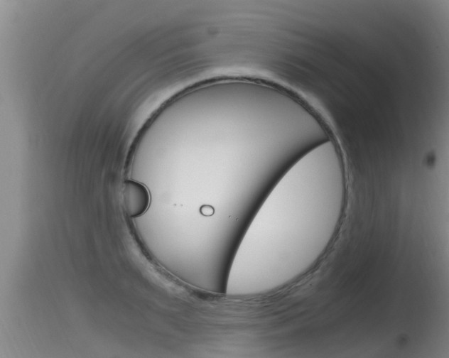 X0000115660895200911120940