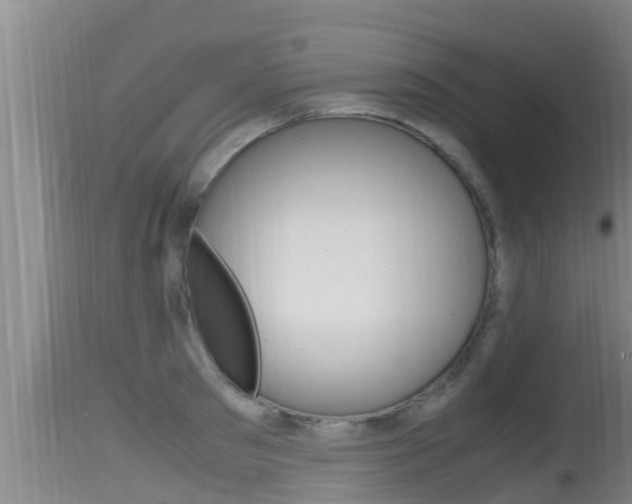 X0000115660897200911120940
