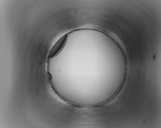 X0000115660900200911120940