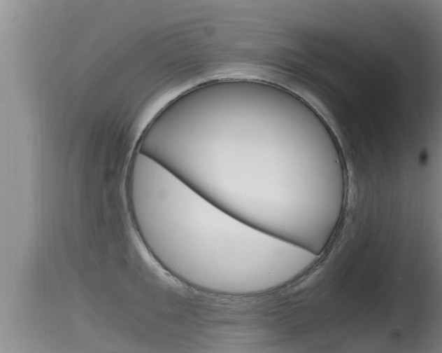 X0000115660901200911120940