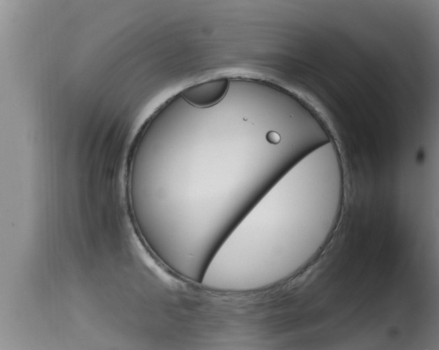 X0000115660902200911120940