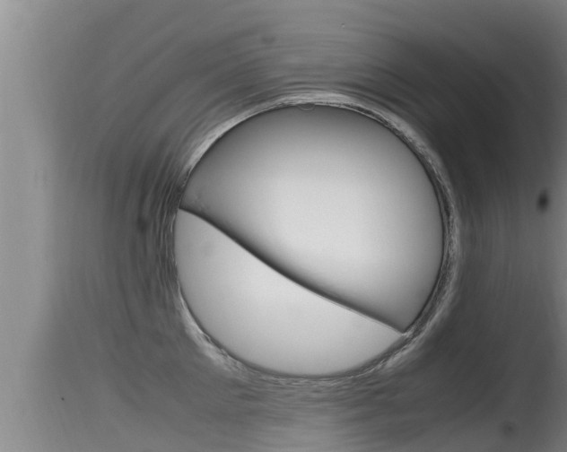 X0000115660905200911120940