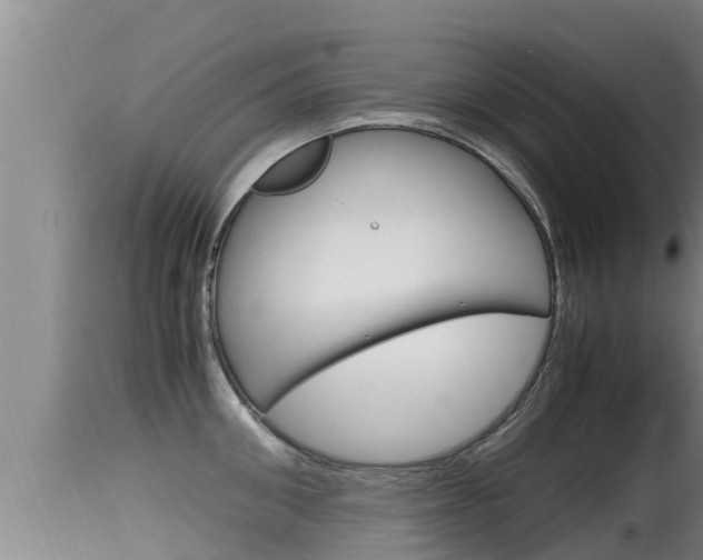 X0000115660906200911120940