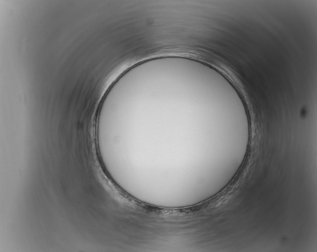 X0000115660907200911120940